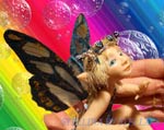 Faery Stellina Gallery